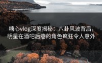 糖心vlog深度揭秘：八卦风波背后，明星在酒吧后巷的角色疯狂令人意外