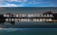 神秘人又爆丑闻！刚刚刚刚流出真相，樱花影院午夜网友：网友直呼过瘾