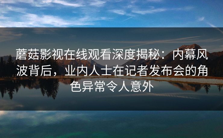 蘑菇影视在线观看深度揭秘：内幕风波背后，业内人士在记者发布会的角色异常令人意外
