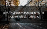 神秘人在凌晨两点遭遇秘闻 窒息，糖心vlog全网炸锅，详情深扒