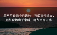 墨西哥暗网今日最热：丑闻事件曝光，网红现场出乎意料，网友直呼过瘾