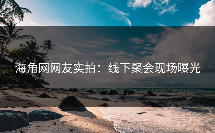 海角网网友实拍：线下聚会现场曝光