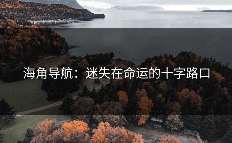 海角导航：迷失在命运的十字路口