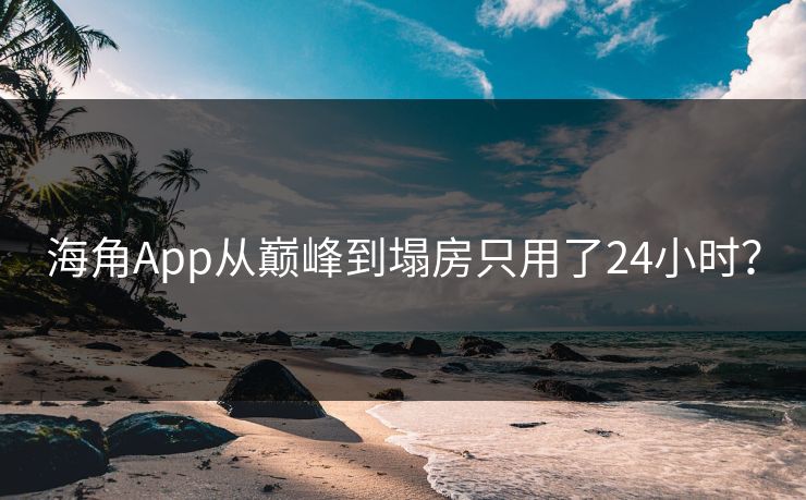 海角App从巅峰到塌房只用了24小时？
