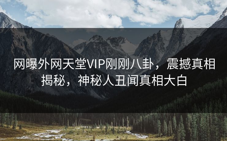 网曝外网天堂VIP刚刚八卦，震撼真相揭秘，神秘人丑闻真相大白