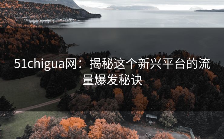 51chigua网:揭秘这个新兴平台的流量爆发秘诀 51chigua网:揭秘这个新兴平台的流量爆发秘诀